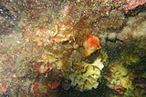 DSC02157.jpg